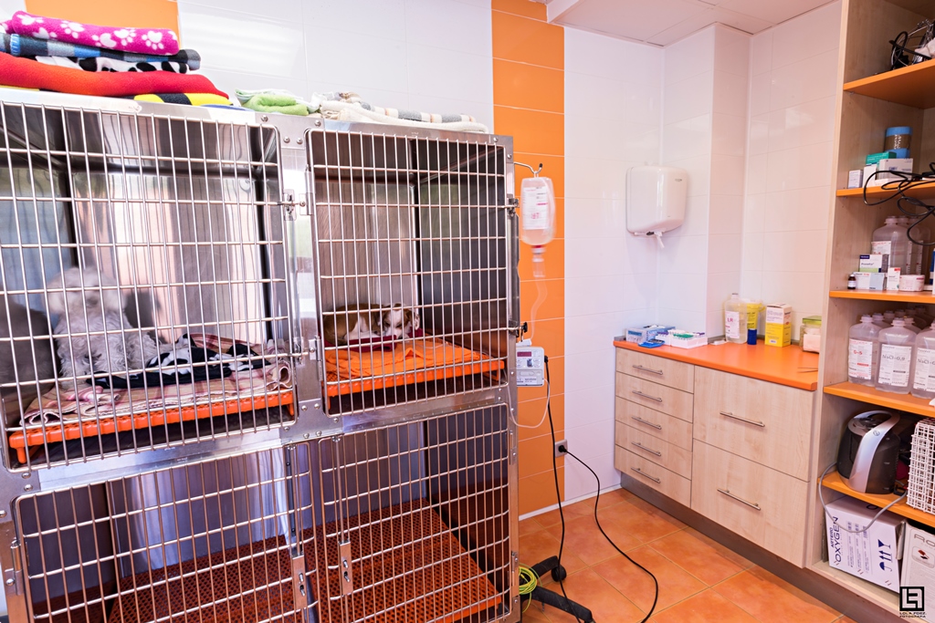 Pet shop